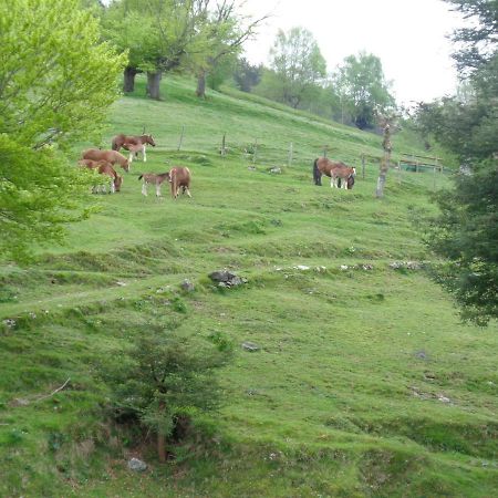 卡萨阿鲁斯提扎乡村民宿 Villabona 外观 照片